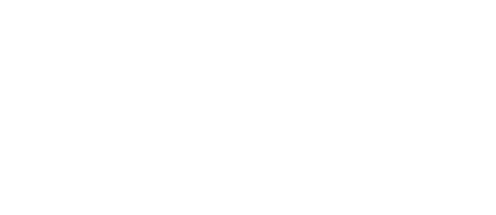 libre-network-decideurs-logo